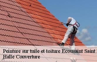Peinture sur tuile et toiture