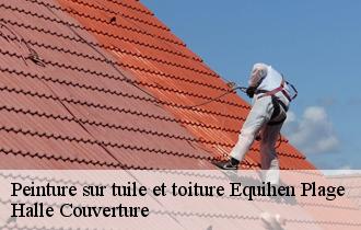 Peinture sur tuile et toiture