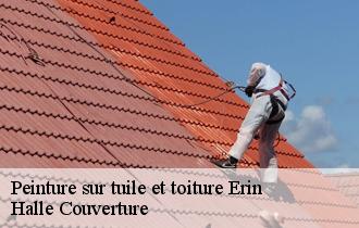 Peinture sur tuile et toiture