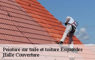 Peinture sur tuile et toiture