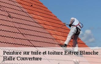 Peinture sur tuile et toiture