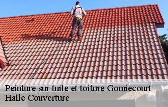 Peinture sur tuile et toiture  gomiecourt-62121 Halle Couverture