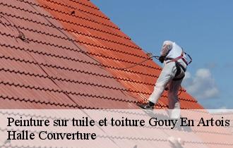 Peinture sur tuile et toiture