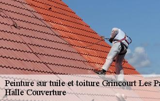 Peinture sur tuile et toiture