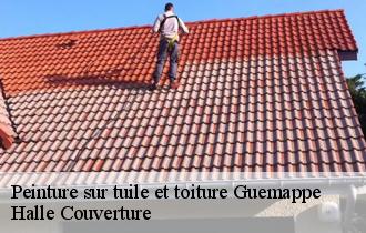 Peinture sur tuile et toiture guemappe-62128 Halle Couverture