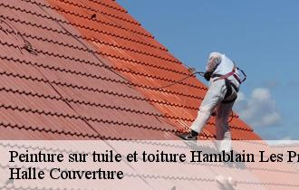 Peinture sur tuile et toiture