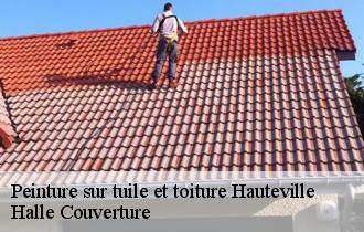 Peinture sur tuile et toiture  hauteville-62810 Halle Couverture