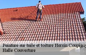 Peinture sur tuile et toiture  hersin-coupigny-62530 Halle Couverture