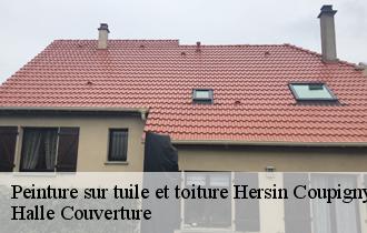 Peinture sur tuile et toiture  62530