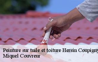 Peinture sur tuile et toiture  hersin-coupigny-62530 Miquel Couvreur