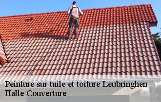 Peinture sur tuile et toiture leubringhen-62250 Halle Couverture