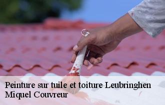Peinture sur tuile et toiture  leubringhen-62250 Miquel Couvreur