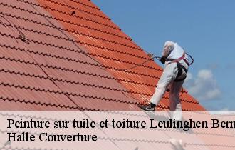 Peinture sur tuile et toiture
