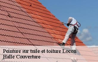 Peinture sur tuile et toiture