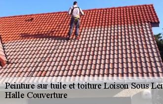 Peinture sur tuile et toiture  loison-sous-lens-62218 Halle Couverture