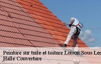 Peinture sur tuile et toiture