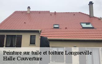 Peinture sur tuile et toiture  62142