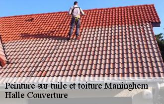 Peinture sur tuile et toiture  maninghem-62650 Halle Couverture