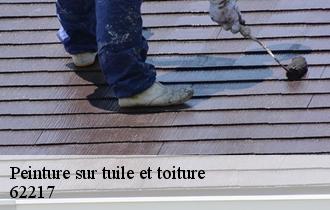 Peinture sur tuile et toiture