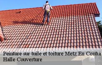 Peinture sur tuile et toiture  metz-en-couture-62124 Halle Couverture