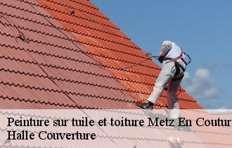 Peinture sur tuile et toiture