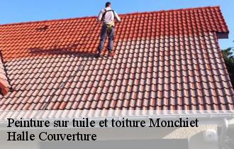 Peinture sur tuile et toiture  monchiet-62123 Halle Couverture