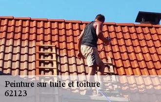 Peinture sur tuile et toiture  62123