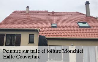Peinture sur tuile et toiture  62123
