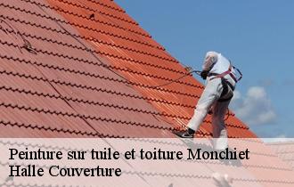 Peinture sur tuile et toiture
