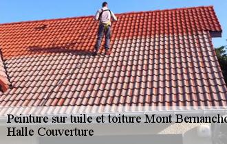 Peinture sur tuile et toiture  mont-bernanchon-62350 Halle Couverture