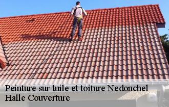Peinture sur tuile et toiture  nedonchel-62550 Halle Couverture
