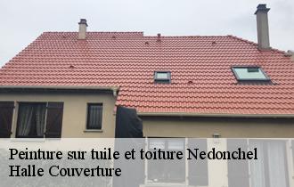 Peinture sur tuile et toiture  62550