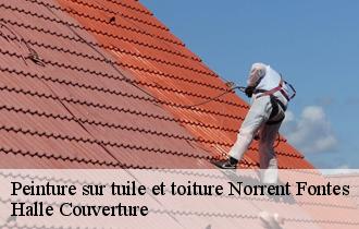 Peinture sur tuile et toiture