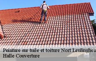 Peinture sur tuile et toiture nort-leulinghem-62890 Halle Couverture