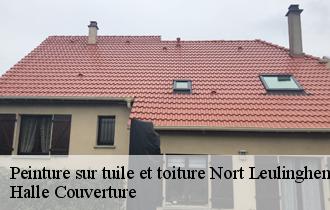 Peinture sur tuile et toiture 62890