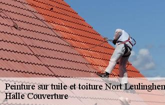 Peinture sur tuile et toiture