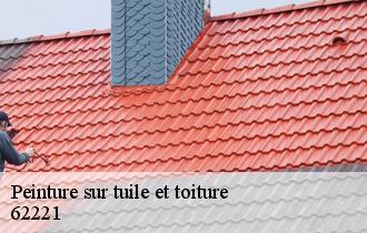 Peinture sur tuile et toiture  62221