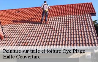 Peinture sur tuile et toiture  oye-plage-62215 Halle Couverture