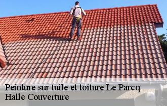 Peinture sur tuile et toiture  le-parcq-62770 Halle Couverture