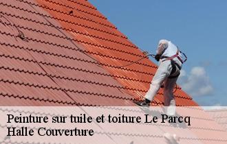 Peinture sur tuile et toiture