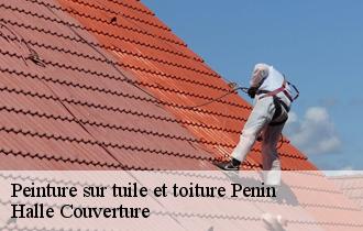 Peinture sur tuile et toiture