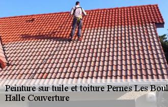 Peinture sur tuile et toiture  pernes-les-boulogne-62126 Halle Couverture