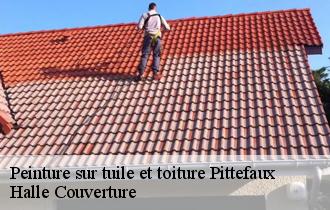 Peinture sur tuile et toiture  pittefaux-62126 Halle Couverture