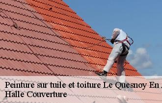 Peinture sur tuile et toiture
