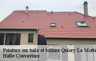 Peinture sur tuile et toiture  62490