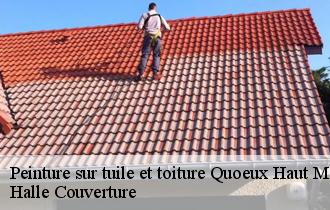 Peinture sur tuile et toiture quoeux-haut-mainil-62390 Halle Couverture