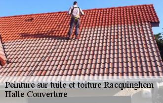 Peinture sur tuile et toiture  racquinghem-62120 Halle Couverture