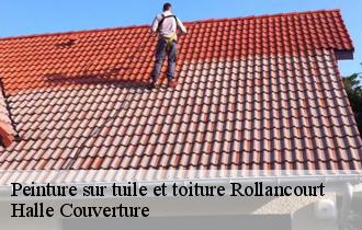 Peinture sur tuile et toiture  rollancourt-62770 Halle Couverture