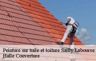 Peinture sur tuile et toiture