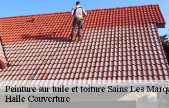 Peinture sur tuile et toiture  sains-les-marquion-62860 Halle Couverture